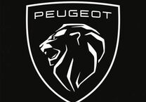 Gebrauchtwagen Peugeot Partner