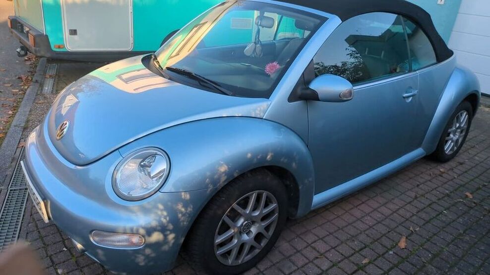 Beetle