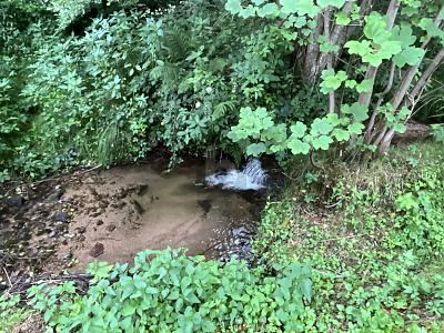 2380 QM WOHNEN AM BACH UND WALD ZUM ENTSPANNEN - Grundstück Bad Herrenalb | Angebot:26340434