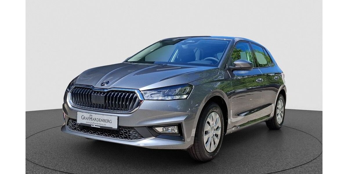 Skoda Fabia 1.150 km 19.490 &euro; Karlsruhe 76131