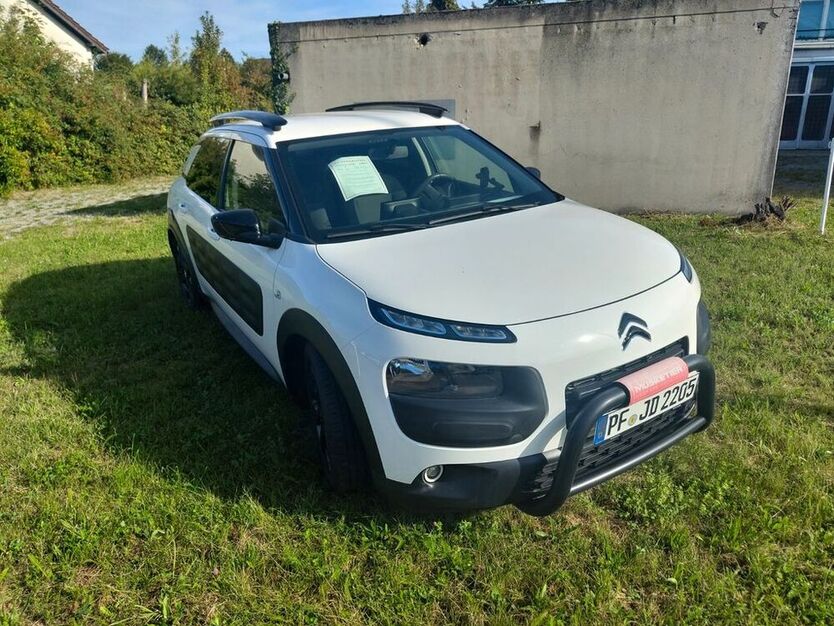 C4 Cactus