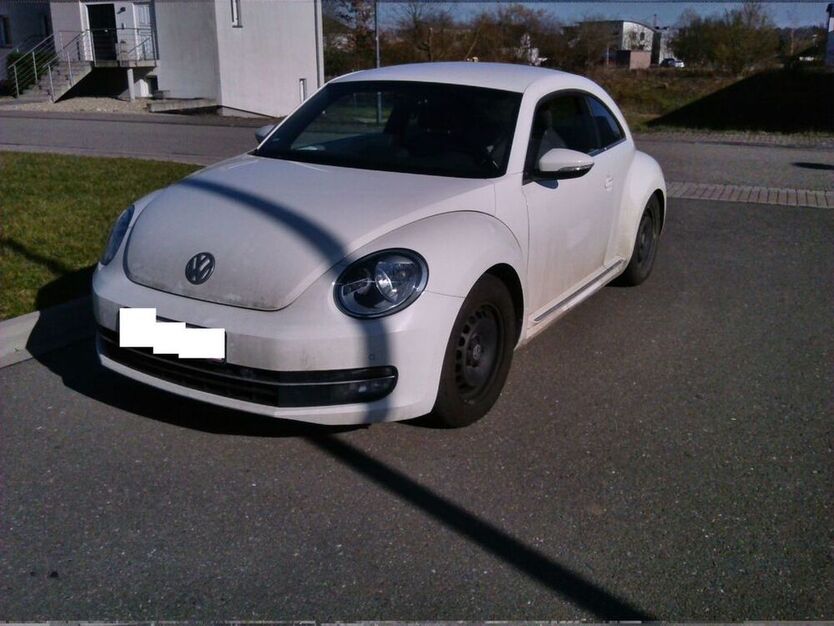 Beetle