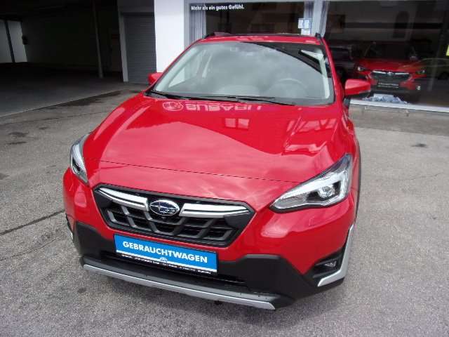 XV
