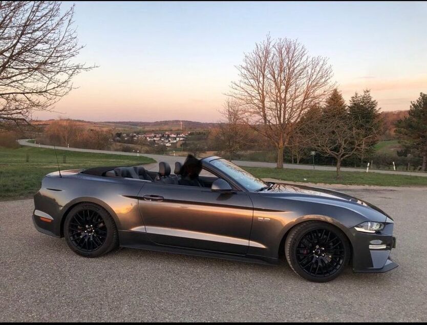 Mustang