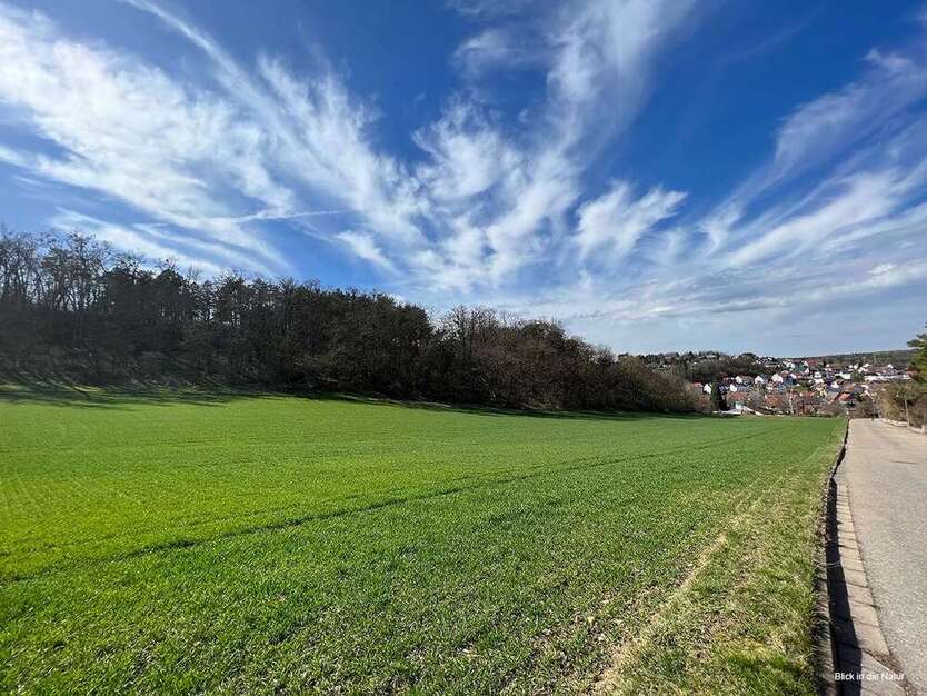 Haus zum Kaufen in Weissach 799.330 € 164 m²