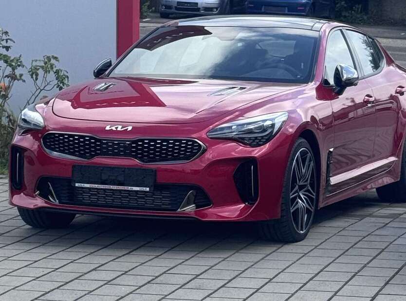 Stinger