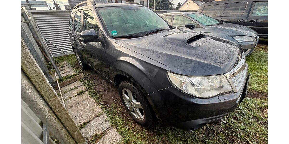 Subaru Forester 227.000 km 1.450 &euro; Karlsruhe 76189