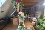 Maisonettenwohnung Pforzheim Brötzingen - 4 Zimmer, 101 m&sup2;, 950&euro; | Angebot:26045547