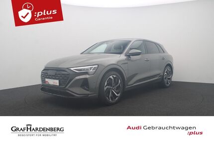 Audi Q8 e-tron 21.872 km 45.980 &euro; Karlsruhe 76131