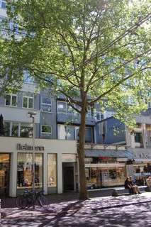 Etagenwohnung Karlsruhe - 2 Zimmer, 63 m&sup2;, 800&euro; | Angebot:26472643