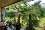 Bungalow Karlsruhe Palmbach - 4 Zimmer, 168 m&sup2;, 650.000&euro; | Angebot:25747461