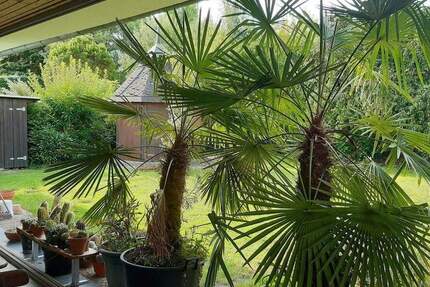 Haus Karlsruhe Palmbach - 4 Zimmer, 168 m&sup2;, 650.000&euro; | Angebot:25747461