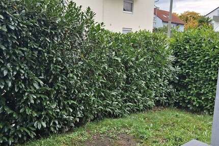 Wohnung zum Mieten in Karlsruhe 725 € 40.5 m² 1 zimmer