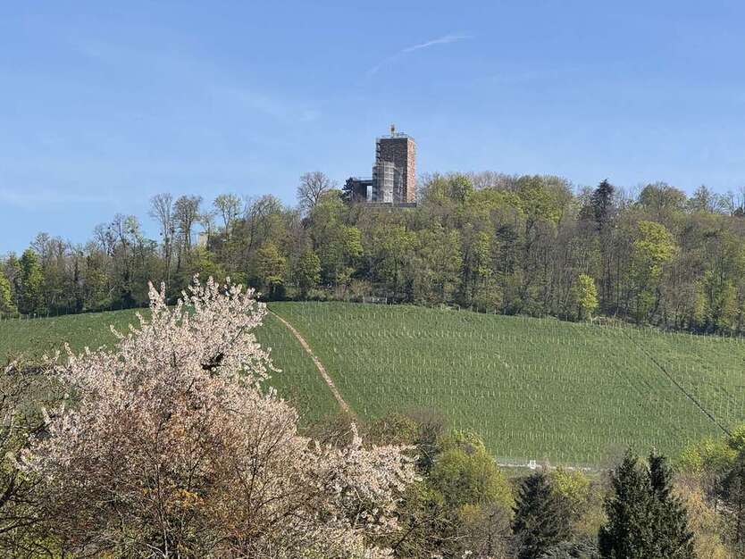 Grundstück zu verkaufen in Karlsruhe 1.500.000 € 1257 m²
