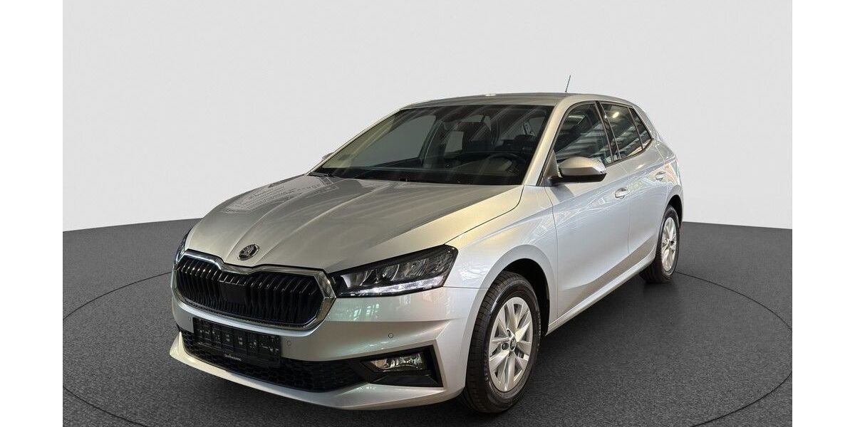 Skoda Fabia 6.000 km 22.690 &euro; Karlsruhe 76131