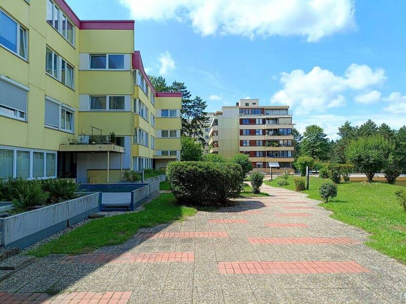 Wohnen im Grünen ! Familienfreundliche und großzügige Wohnung, zentral im Waldpark