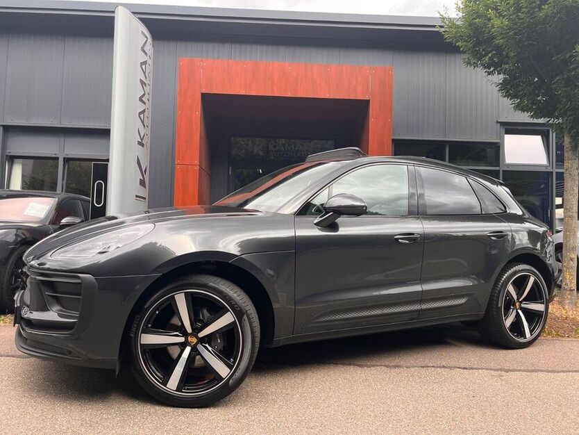 Macan