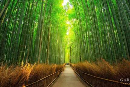 Grundstück Karlsruhe Mühlburg - 930.000&euro; | Angebot:24794438