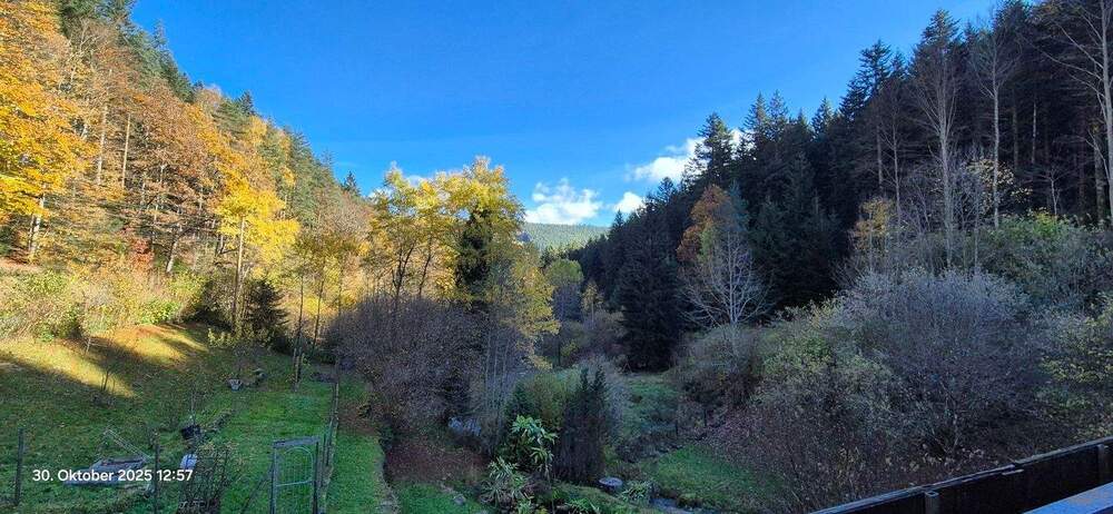 Mehrfamilienhaus, Wohnhaus Bad Wildbad - 8 Zimmer, 221 m&sup2;, 712.000&euro; | Angebot:25780878