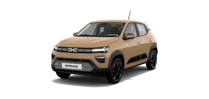 Dacia Spring 1.700 km 17.950 € Güglingen 74363