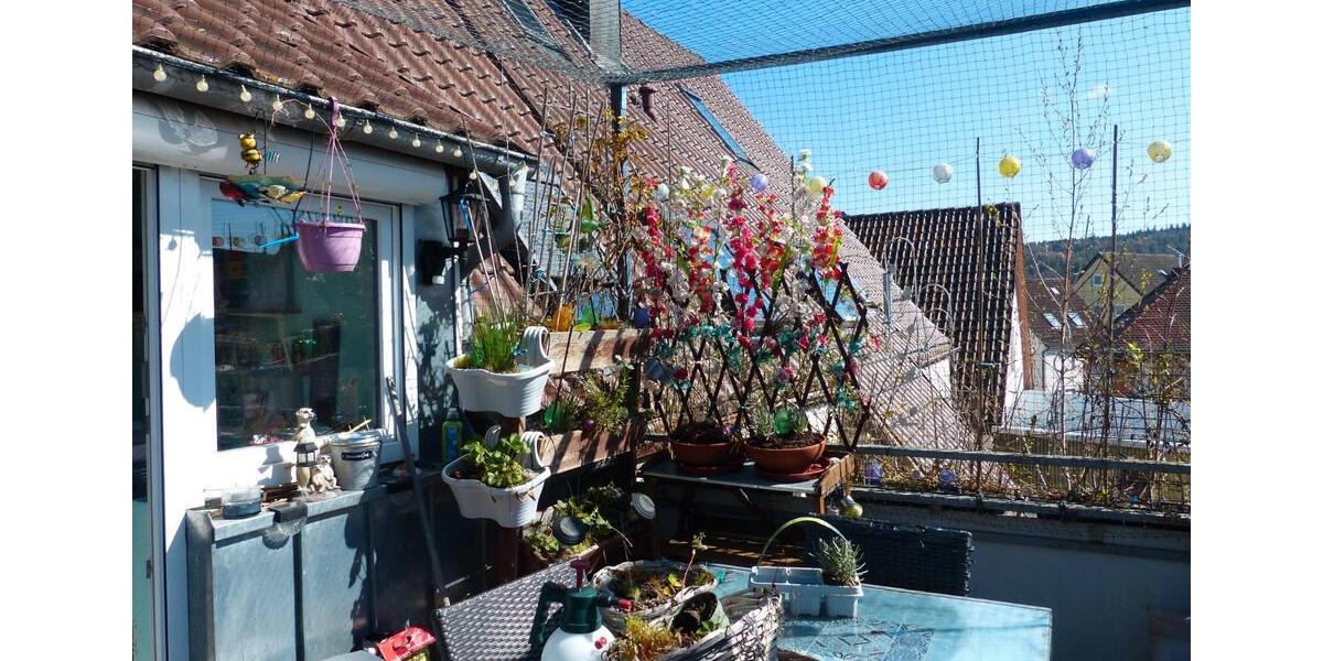 Doppelhaushälfte Birkenfeld - 9 Zimmer, 213 m&sup2;, 454.000&euro; | Angebot:26223034