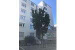 Etagenwohnung Pforzheim Weststadt - 3.5 Zimmer, 94 m&sup2;, 850&euro; | Angebot:26296430