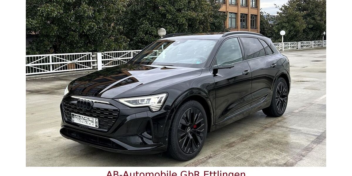 Audi Q8 e-tron 41.544 km 55.900 &euro; Ettlingen 76275