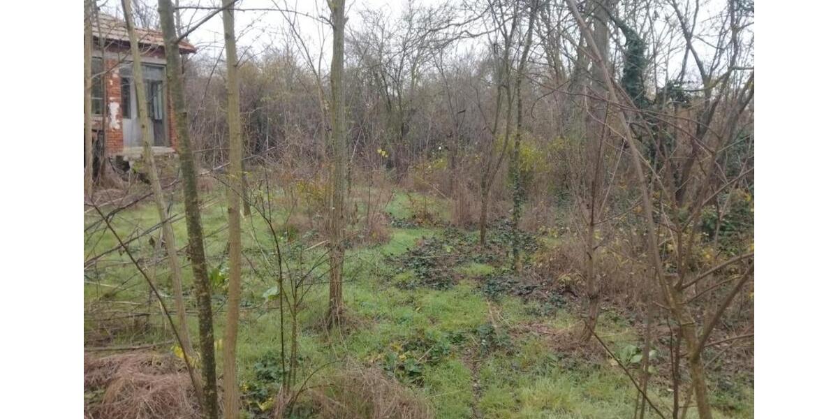 Haus in Bulgarien, 18 km vom Meer 3 zimmer