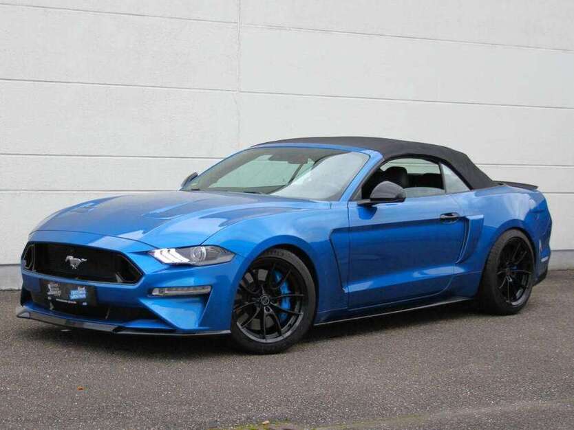 Mustang