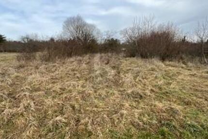 PLANE DEIN EIGENES TRAUMHAUS IM GRÜNEN - Grundstück Keltern | Angebot:26340459