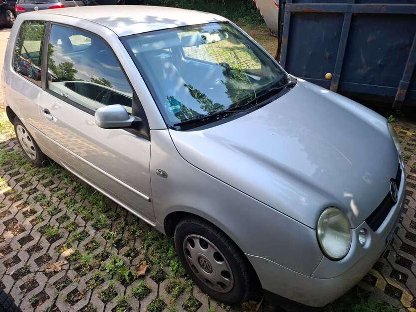 Lupo