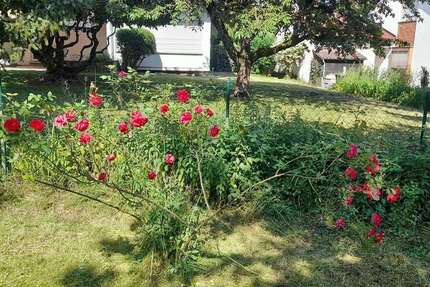 Haus Sindelfingen Sindelfingen (Stadt) - 6 Zimmer, 124 m&sup2;, 570.000&euro; | Angebot:25819199