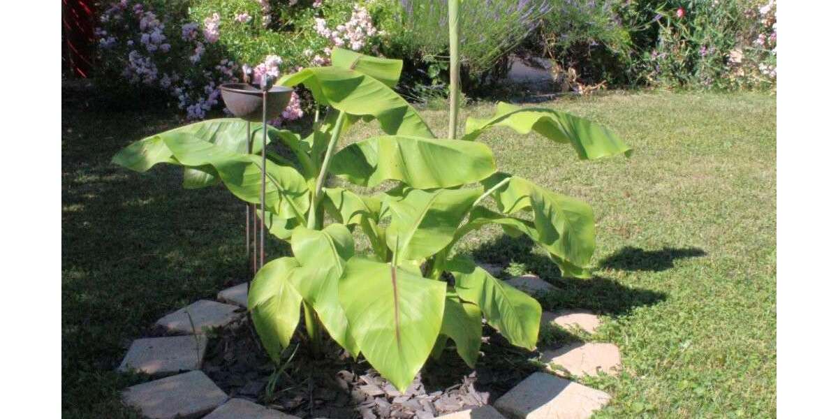 Einfamilienhaus Pforzheim Büchenbronn - 4 Zimmer, 122 m&sup2;, 459.000&euro; | Angebot:25145402