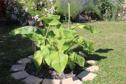 Haus Pforzheim Büchenbronn - 4 Zimmer, 122 m&sup2;, 459.000&euro; | Angebot:25145402