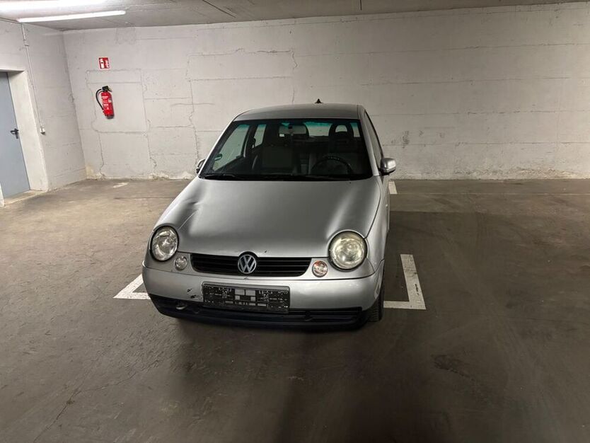 Lupo