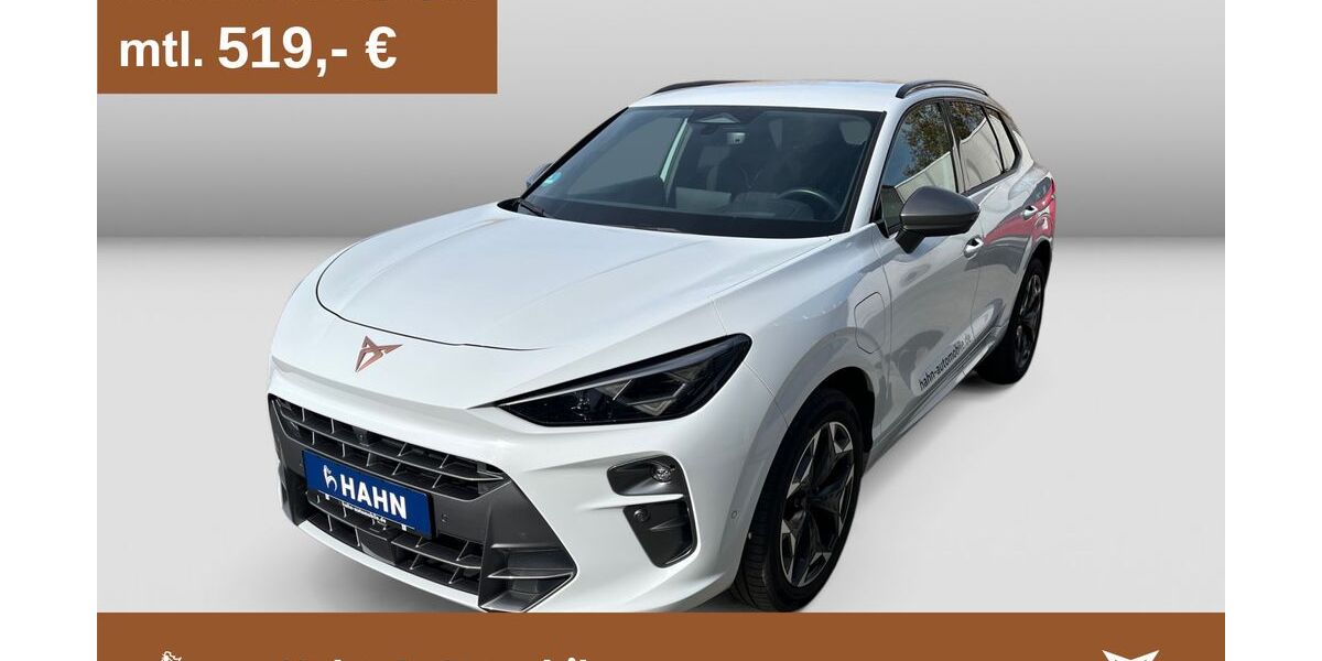 Cupra Terramar 22.990 km 53.980 &euro; Pforzheim 75179