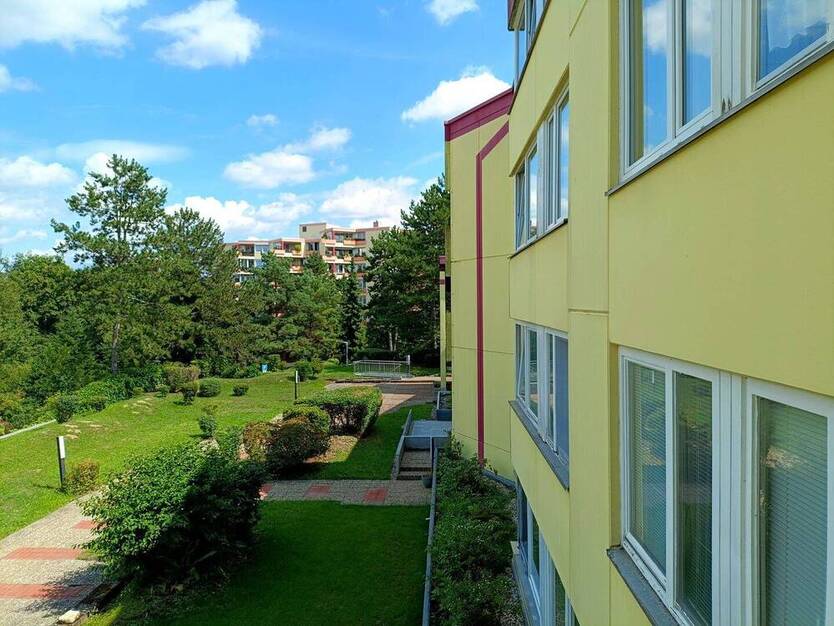 Wohnen im Grünen ! Familienfreundliche und großzügige Wohnung, zentral im Waldpark