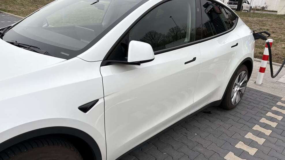Model Y
