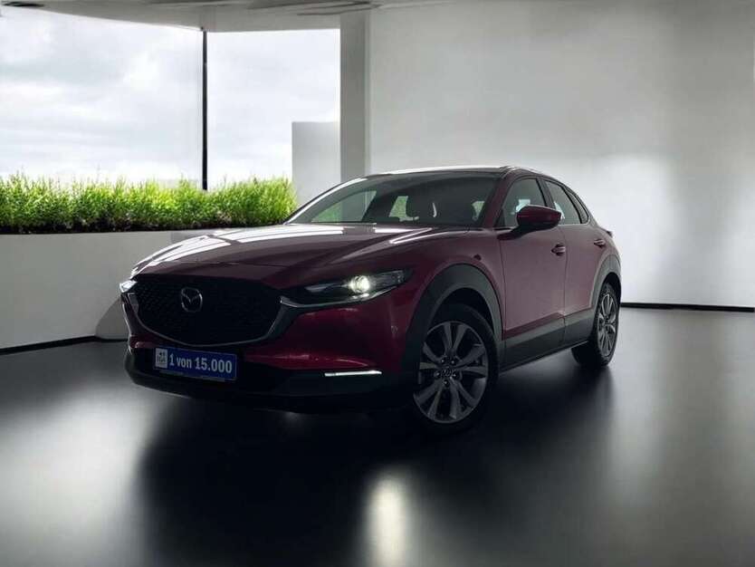 CX-30