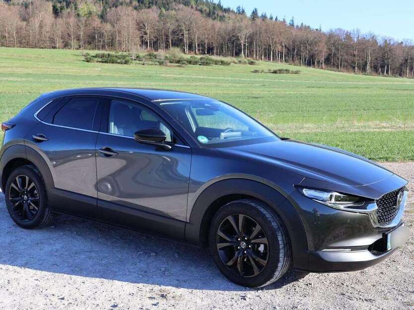 CX-30