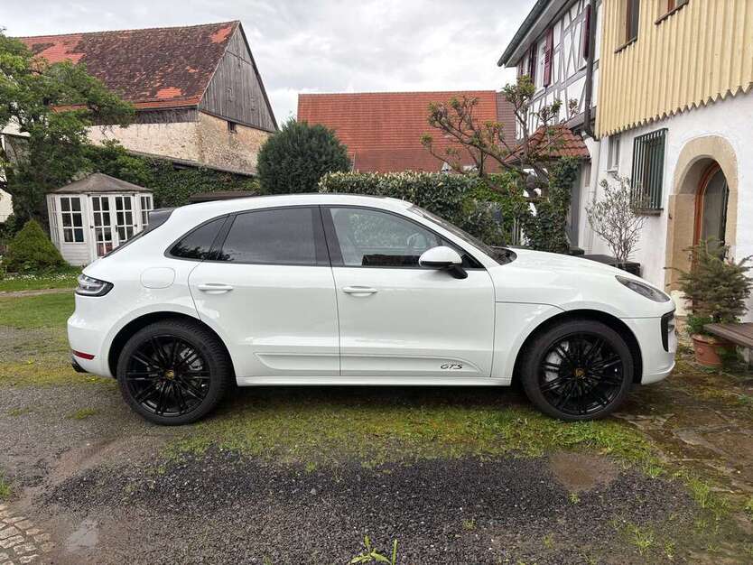 Macan