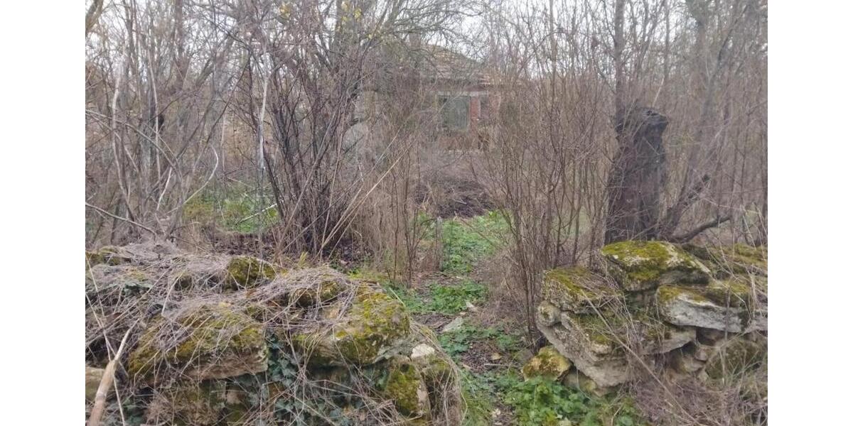 Haus in Bulgarien, 18 km vom Meer 3 zimmer