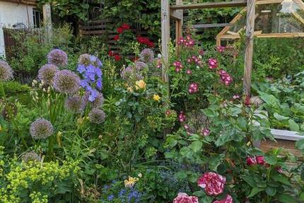 Haus Birkenfeld - 7 Zimmer, 160 m&sup2;, 469.000&euro; | Angebot:26066148