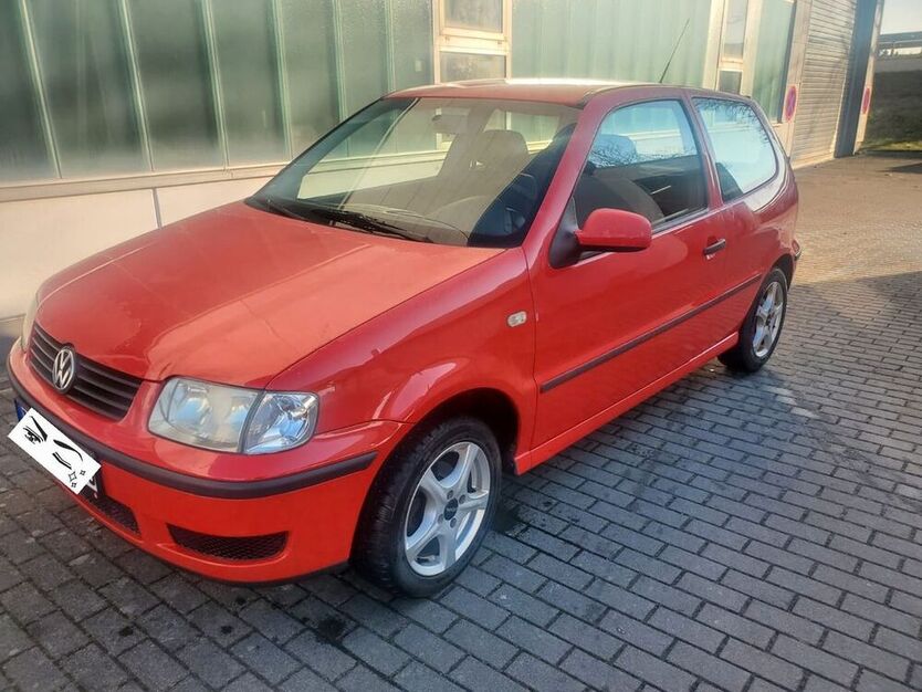 Polo