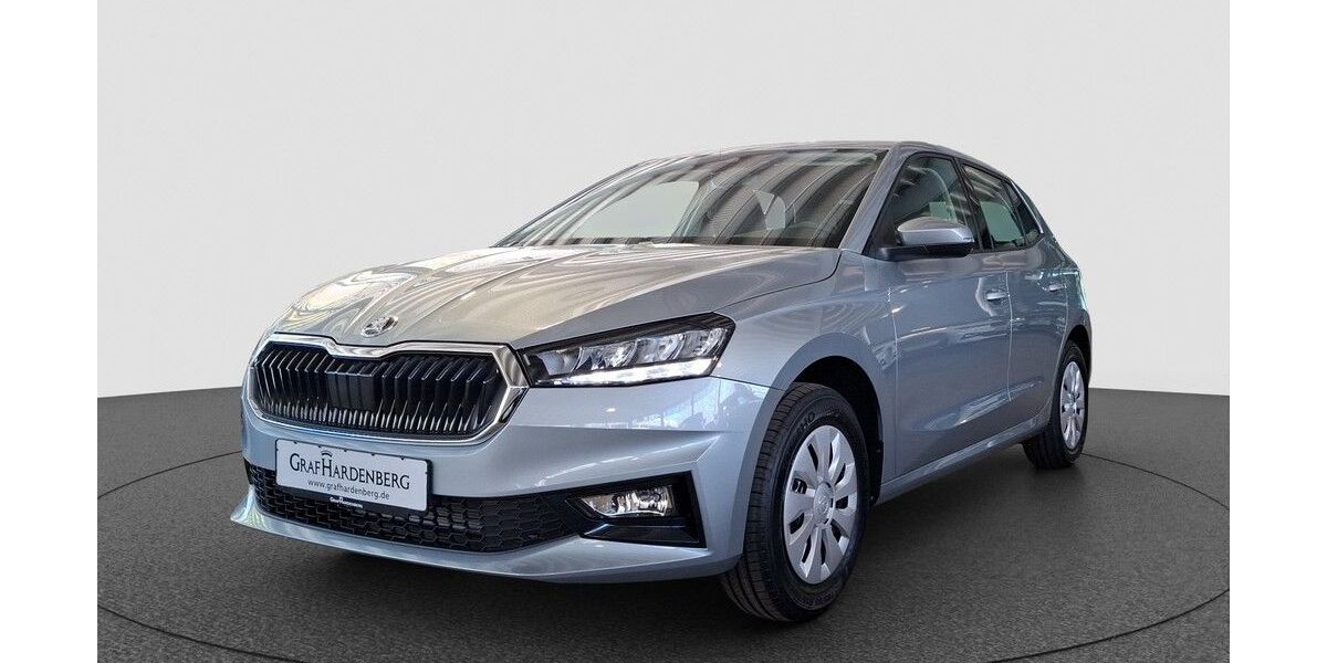 Skoda Fabia 1.150 km 20.490 &euro; Karlsruhe 76131