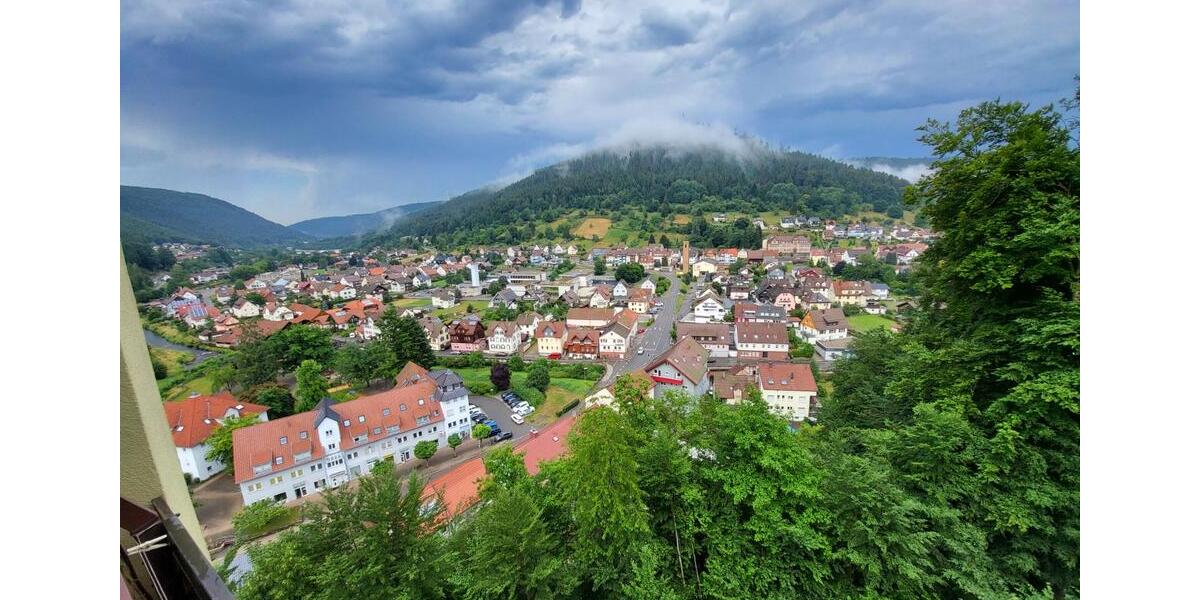 Heimelige 1-Zimmer-Wohnung mit traumhaftem Fernblick & Waldnähe 1 zimmer